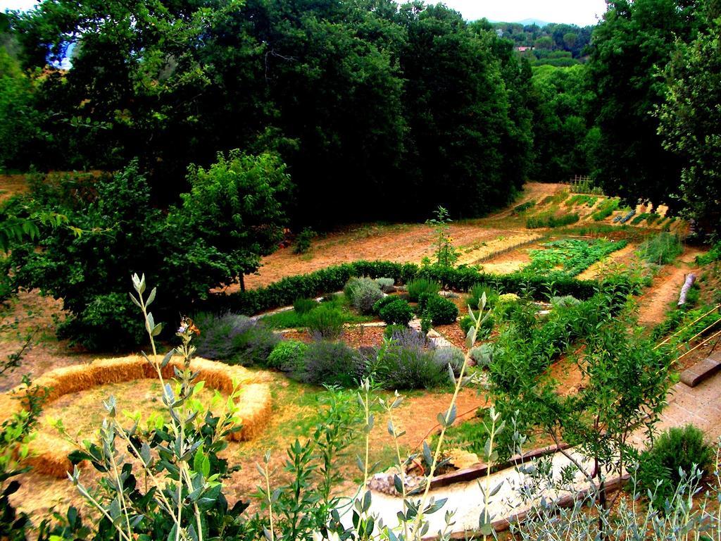 Agriturismo Podere Santa Rita Montescudaio Exterior foto