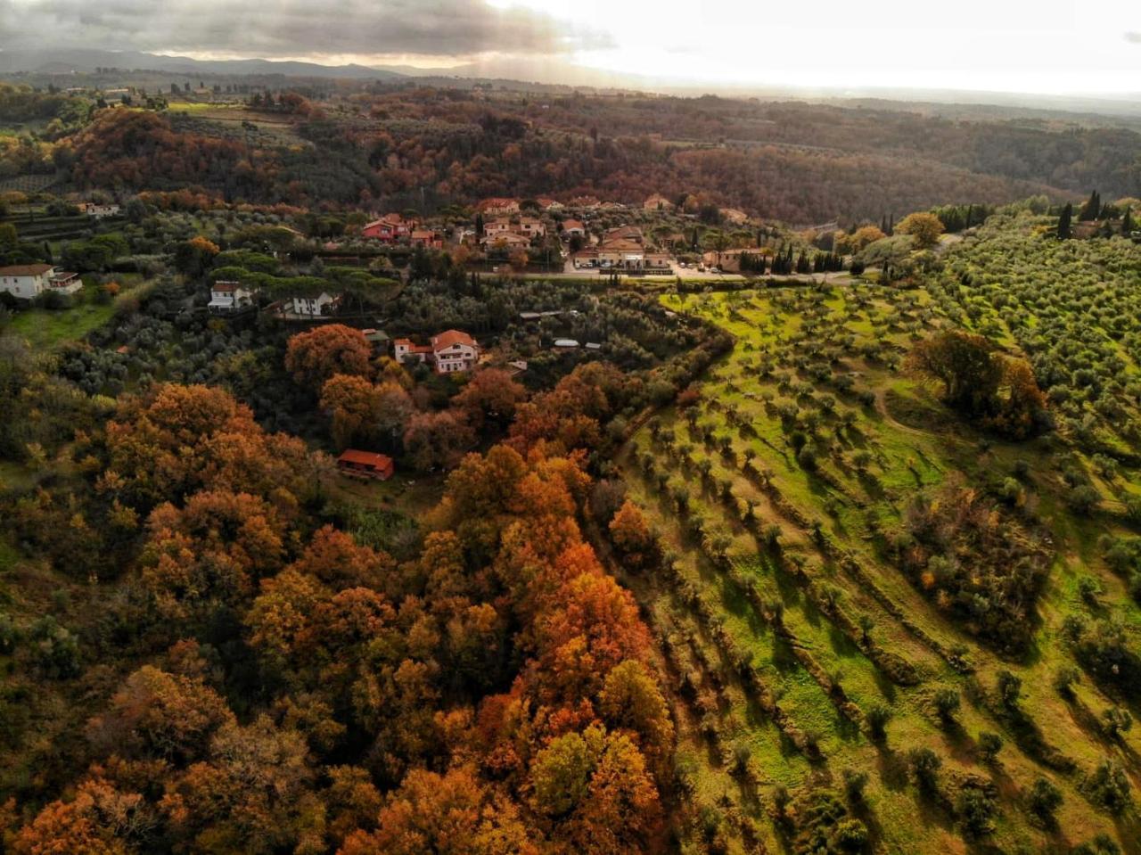 Agriturismo Podere Santa Rita Montescudaio Exterior foto